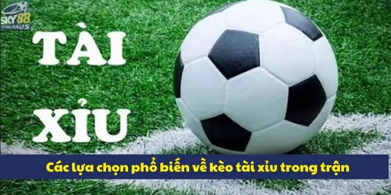 Các lựa chọn phổ biến về kèo tài xỉu trong trận
