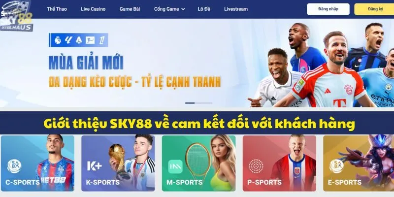 Giới thiệu sky88 Giới thiệu SKY88 về cam kết đối với khách hàng