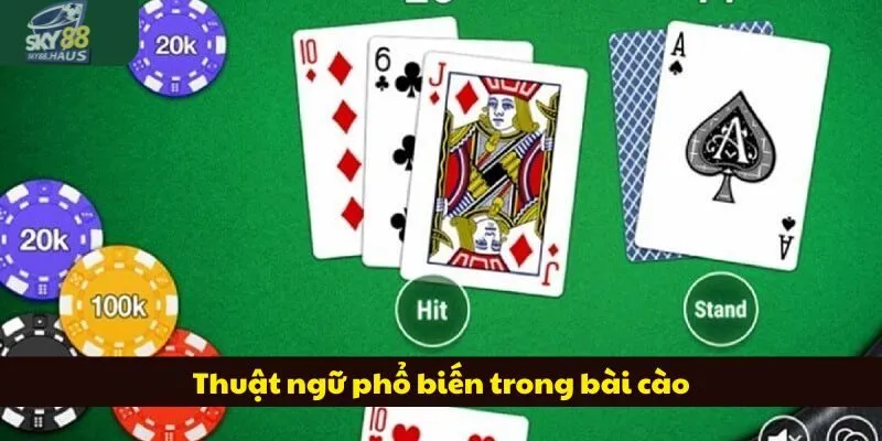 Bài cào: Quy tắc, cách tính điểm và 3 mẹo ăn đậm Thuật ngữ quen thuộc trong bài cào