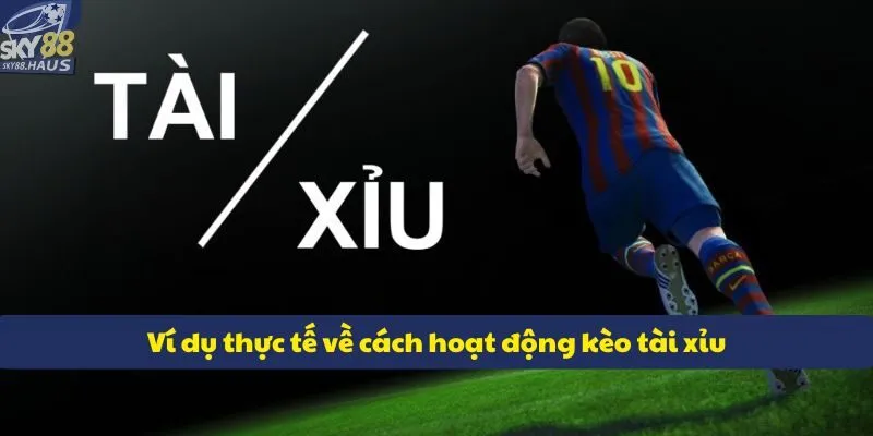 vi du thuc te ve cach hoat dong keo tai